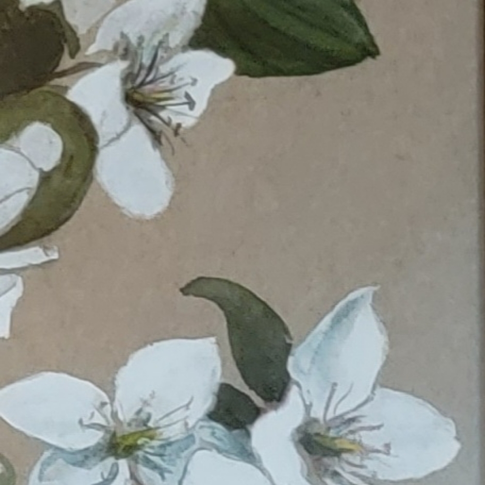 🌱 Vintage Hand Painted Framed Art - Picture 5 of 6